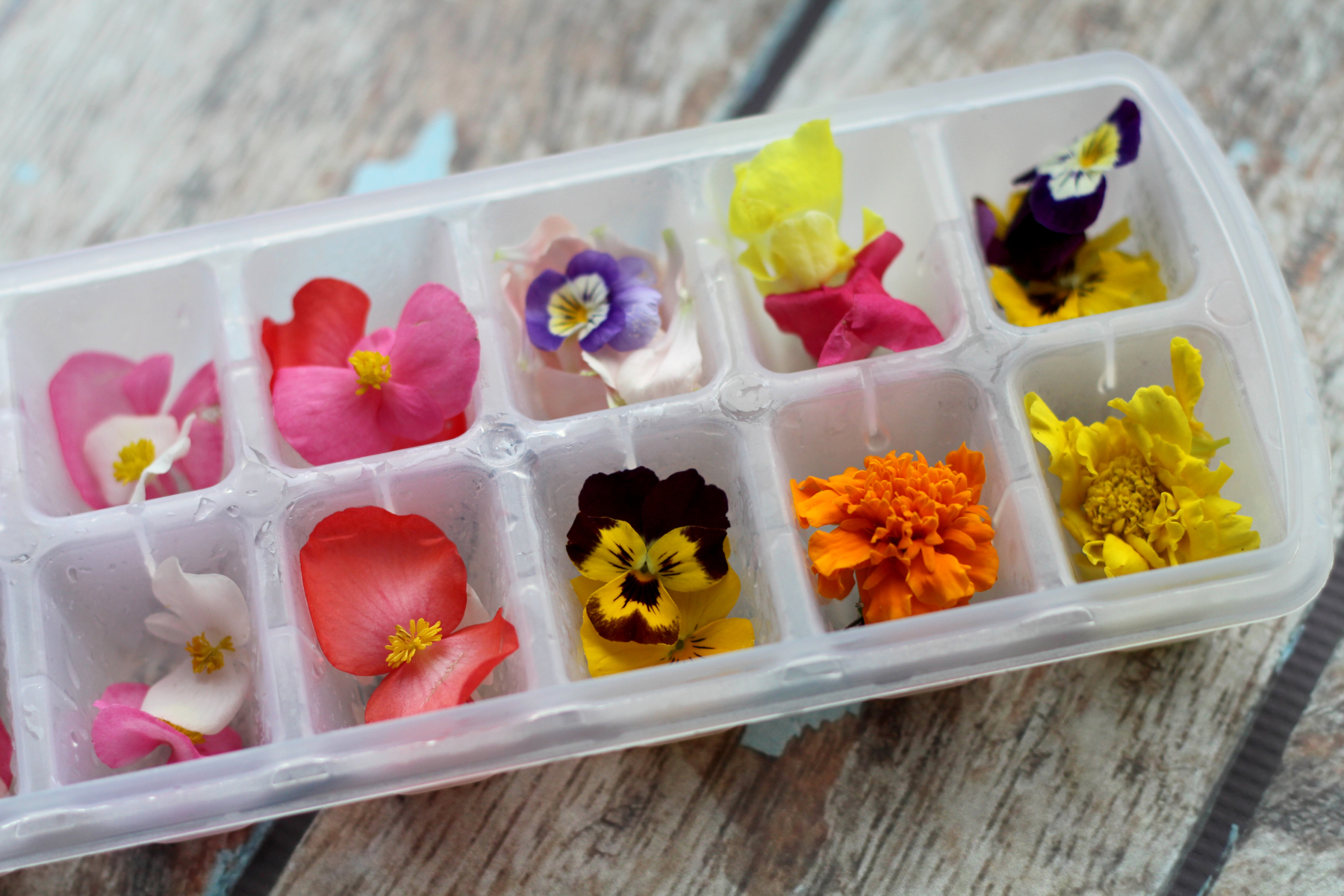Plons Moment Nauwgezet DIY: ijsblokjes met eetbare bloemen - Culy