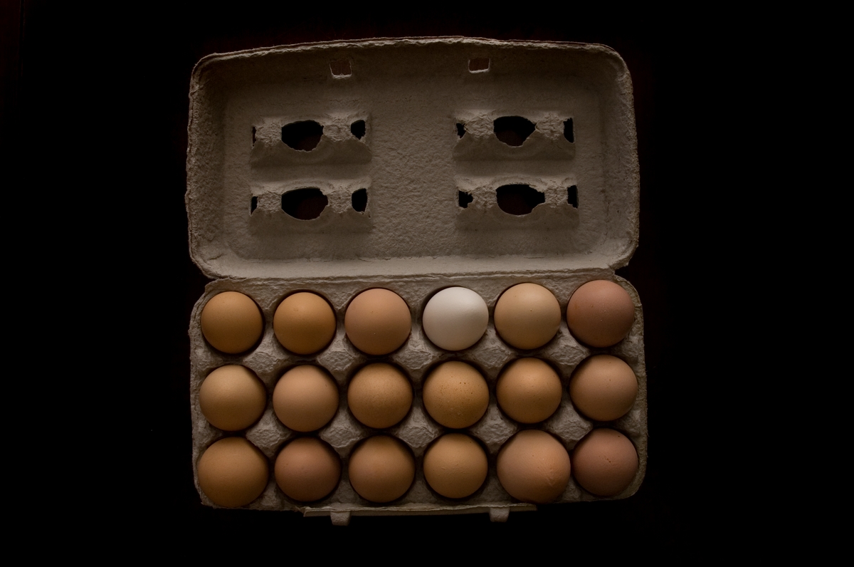 is verschil tussen bruine en witte eieren - Culy.nl