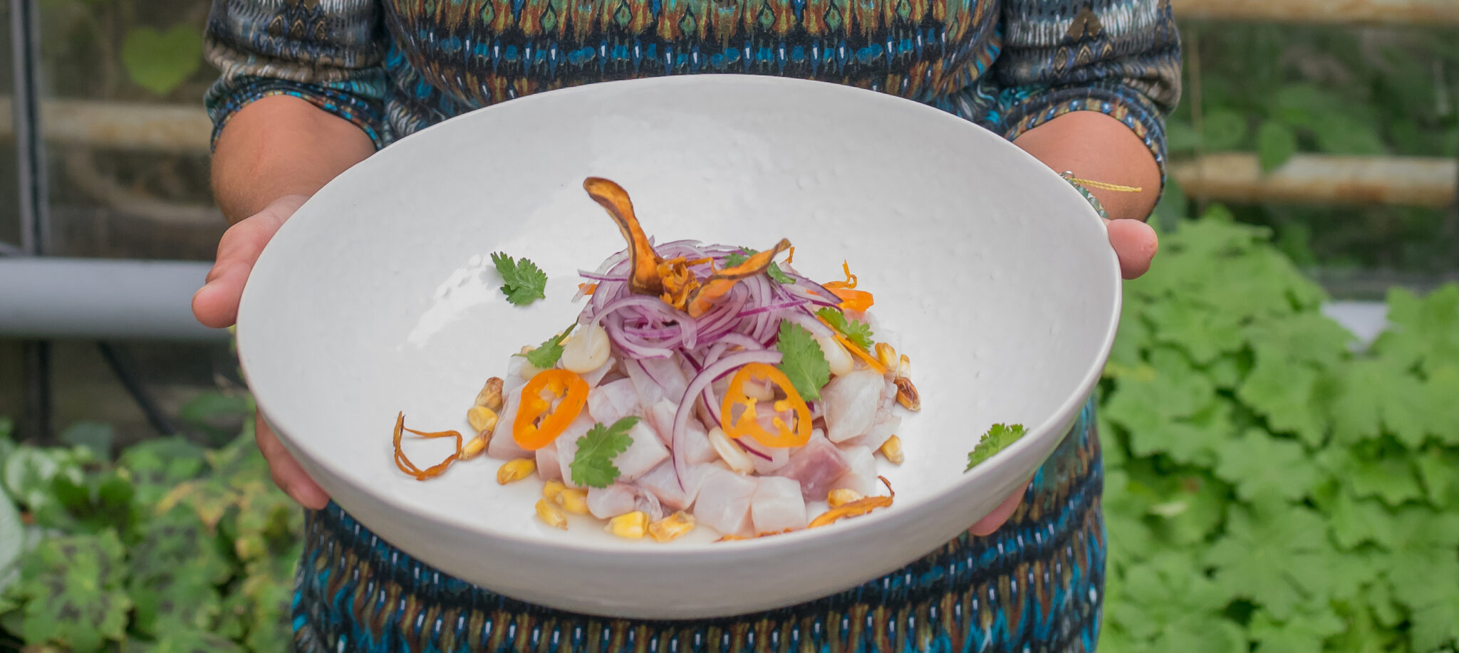 Online ceviche workshop / ceviche clasico