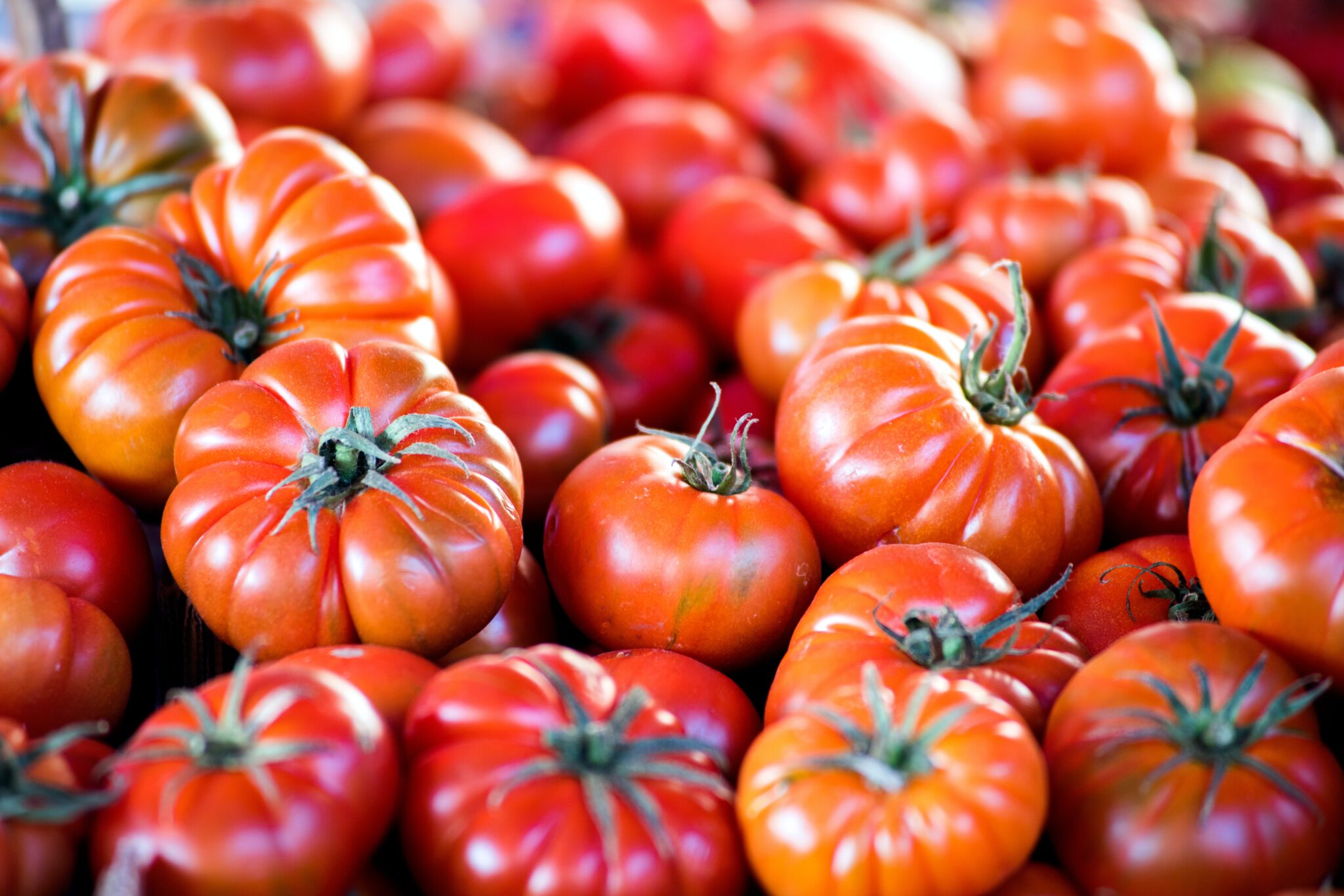 Tomaten